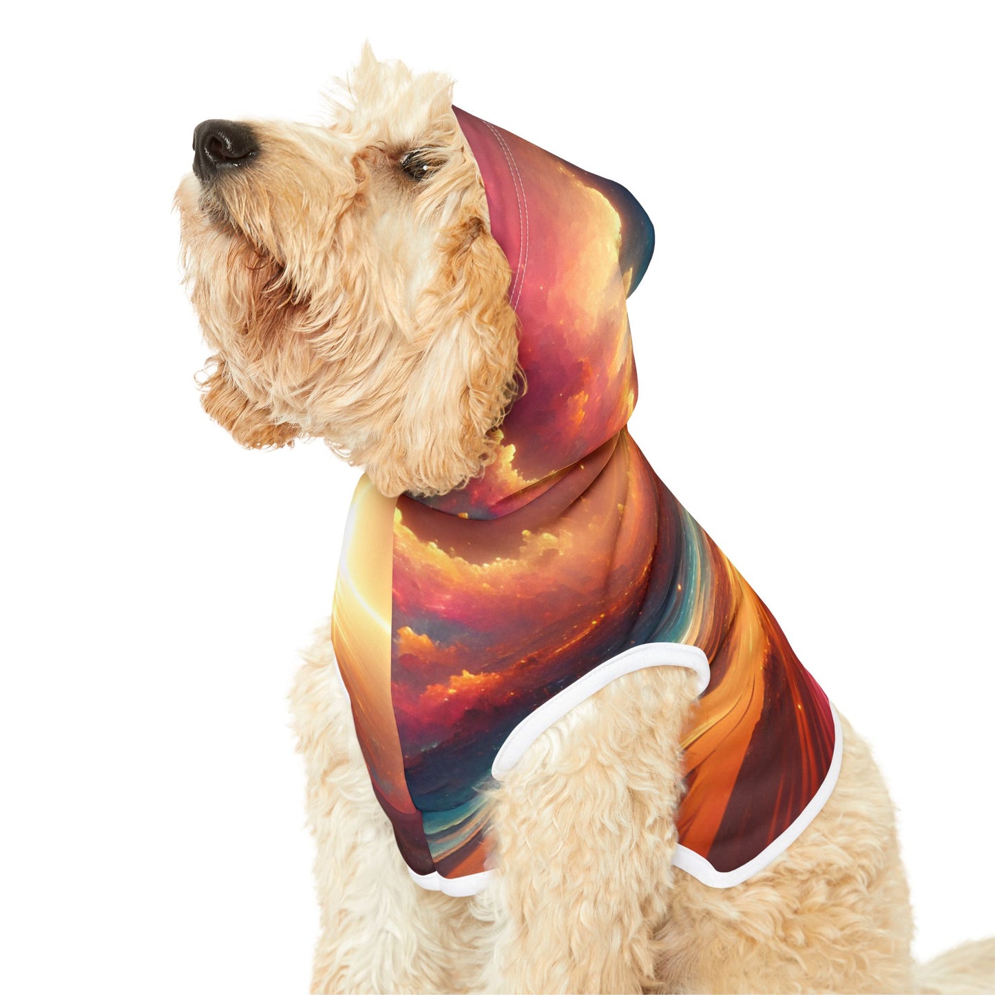 Sunlight Desert Space Pet Hoodie π΅