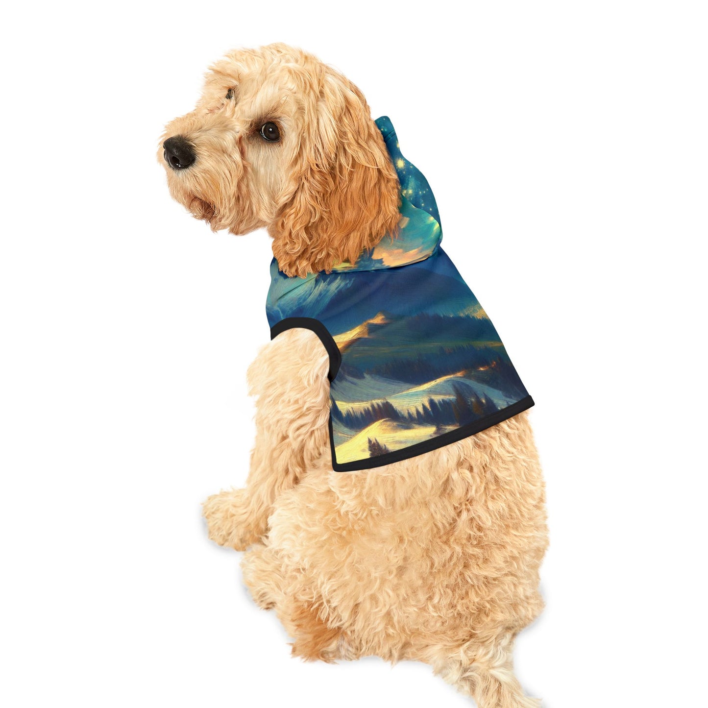 Starry Night Magic Mountain Pet Hoodie πβ¨