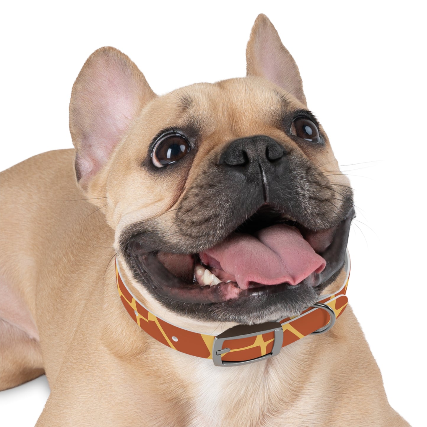 Giraffe Pattern Dog Collar π¦