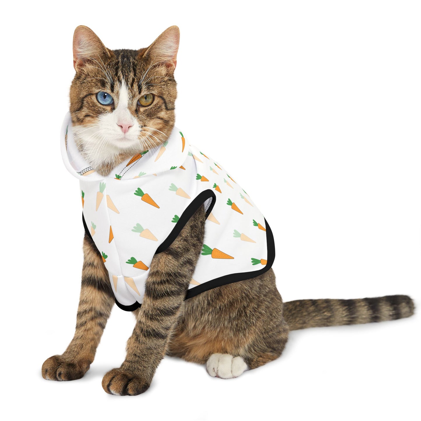 Carrot Pet Hoodie π₯