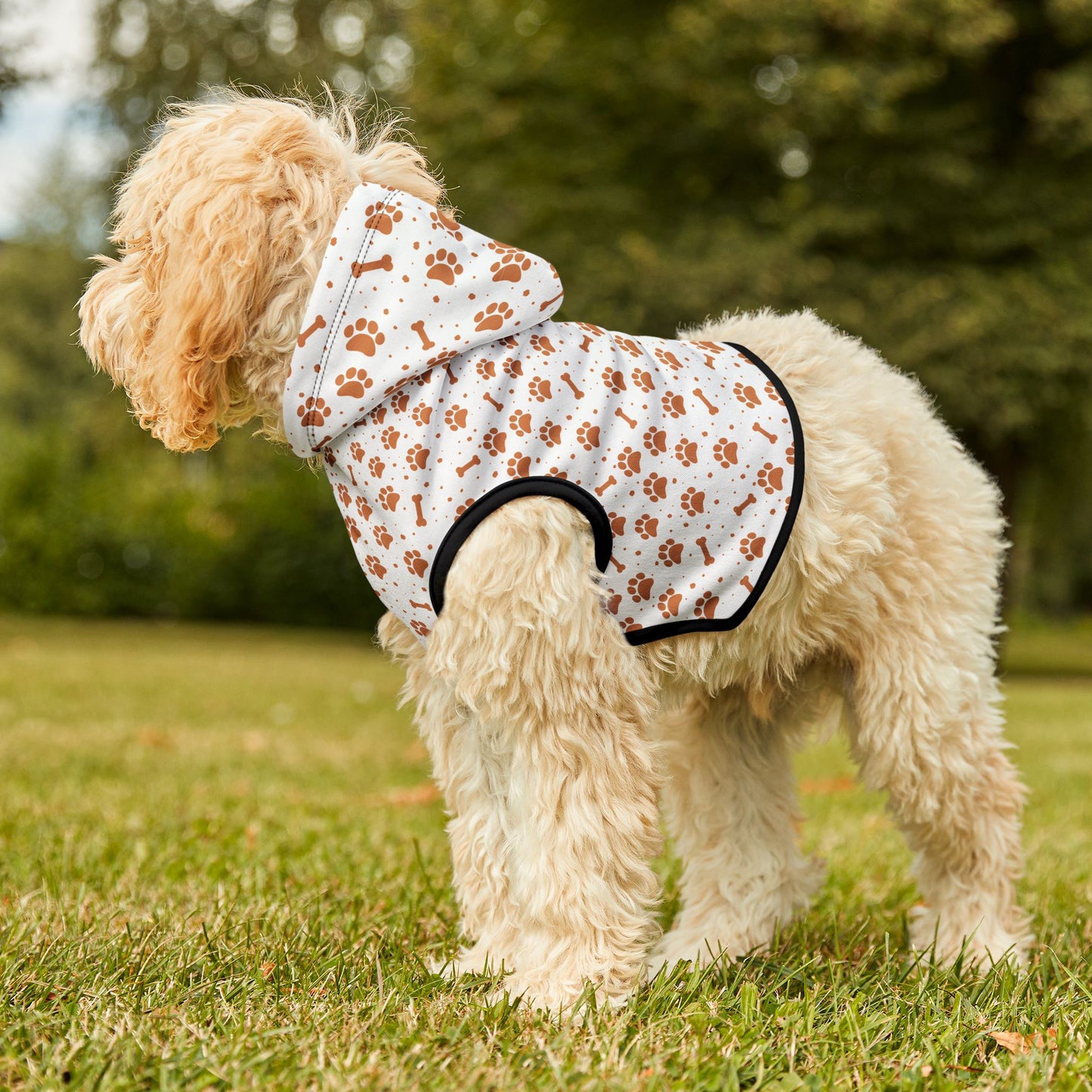 Pumpkin Paws Pet Hoodie 🎃