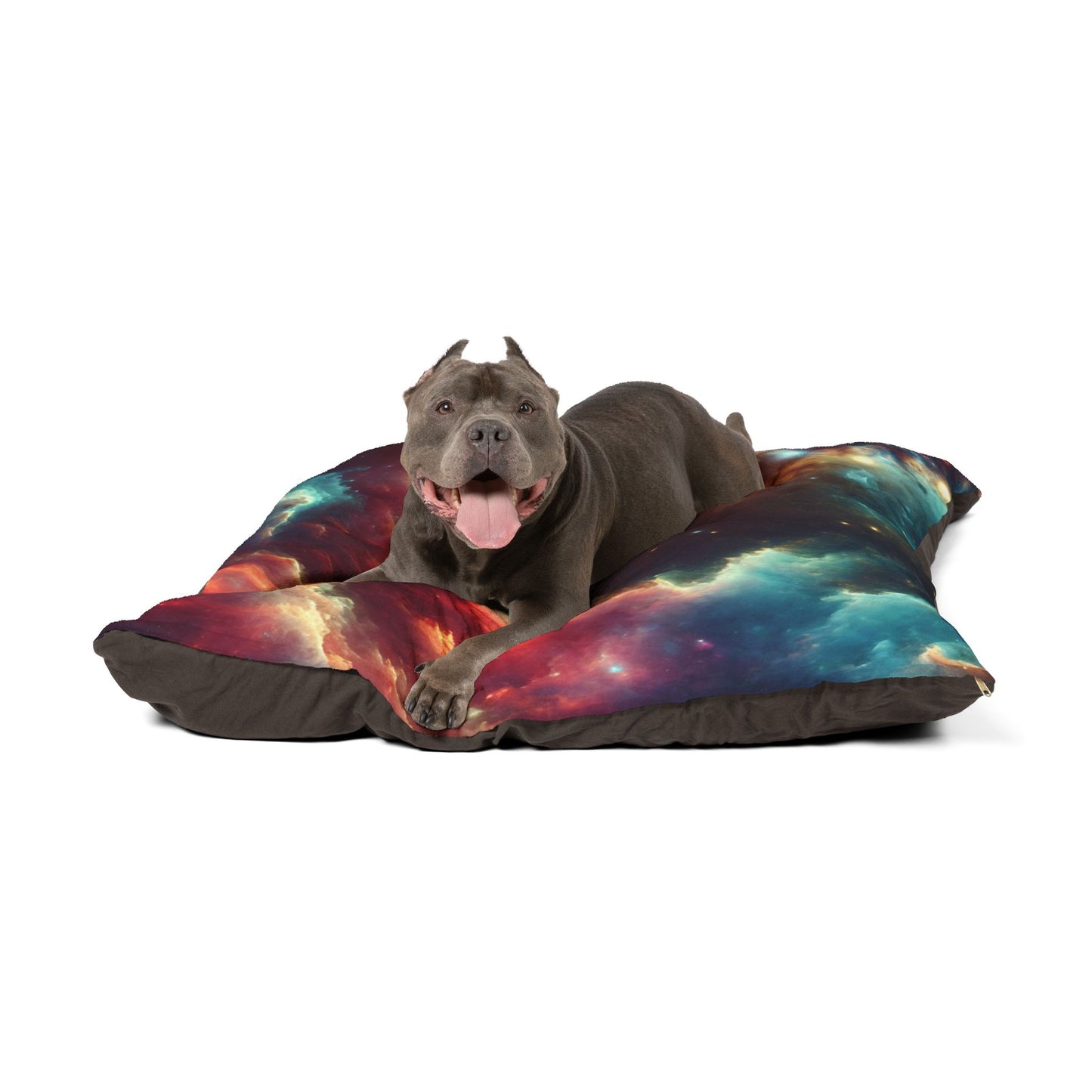 Spacey Pet Bed 🚀