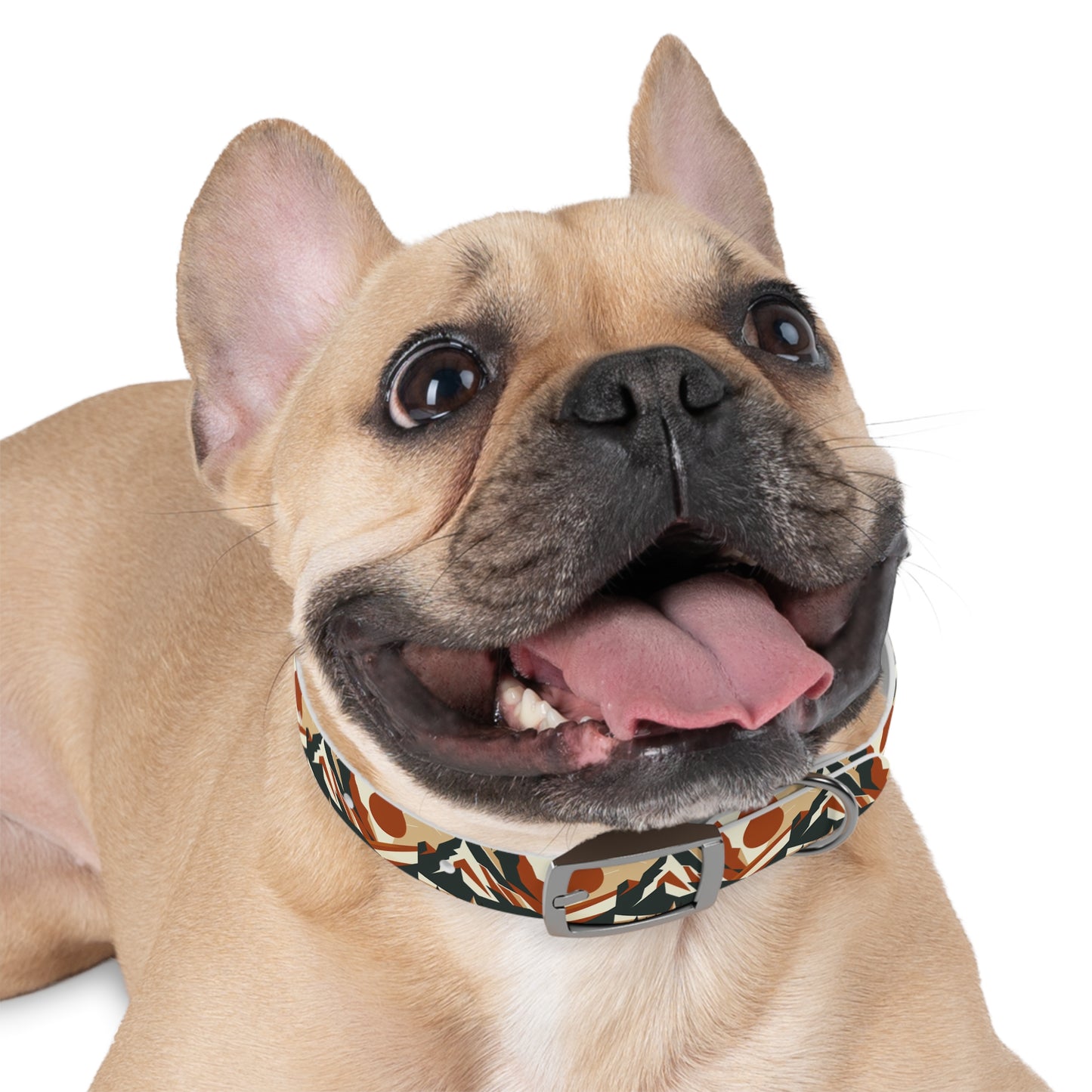 Minimalist Mountain Dog Collar ๐๏ธ