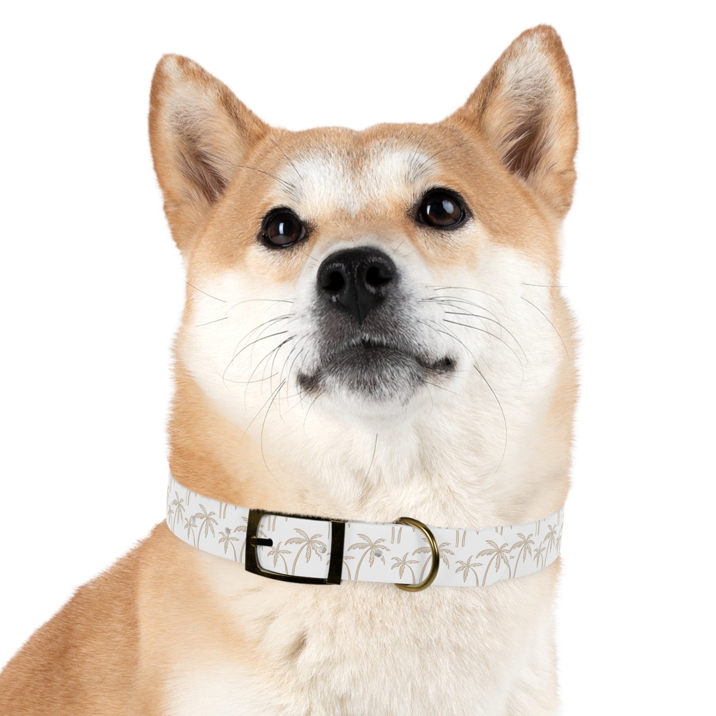Tropical Palm Dog Collar 🌴