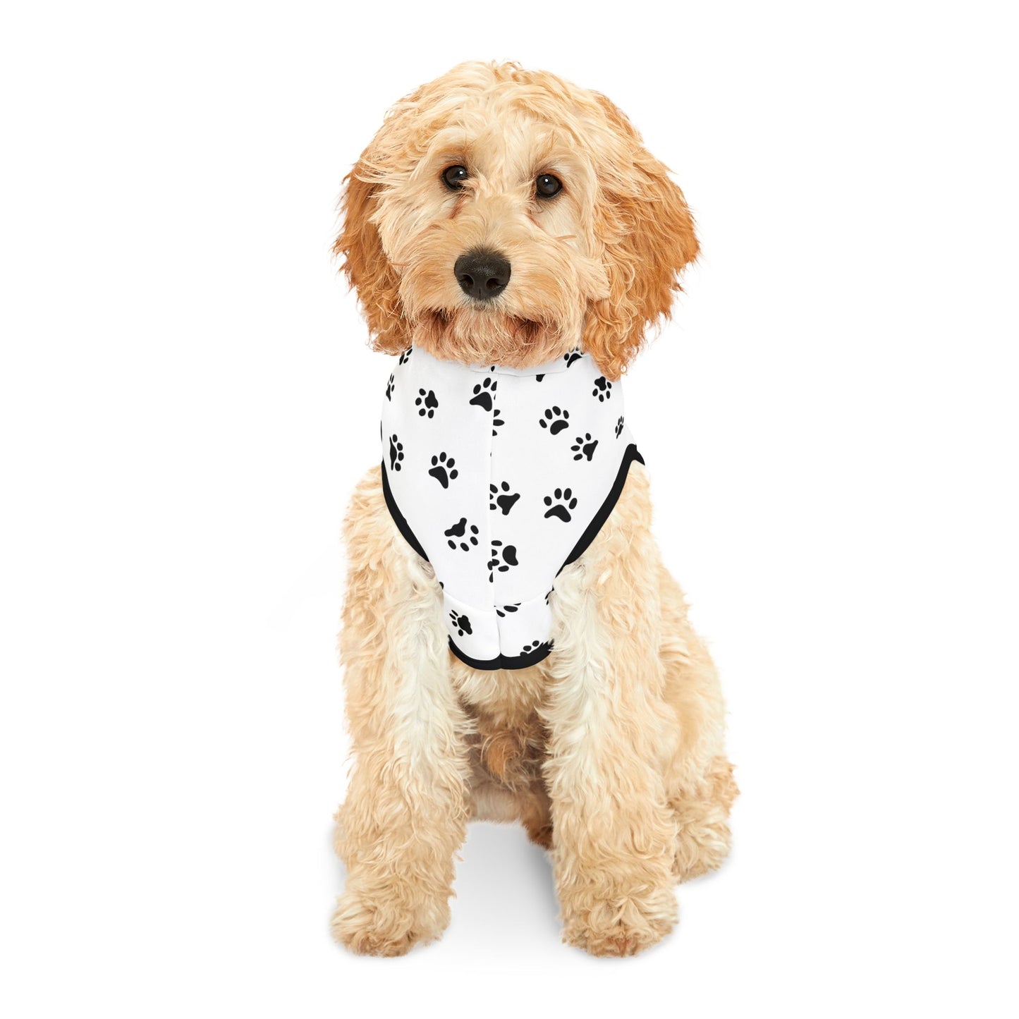 Paw Print Pet Hoodie ๐พ