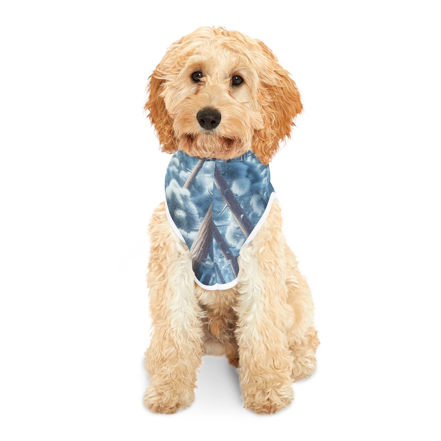 Snowy Forest Pet Hoodie βοΈπ²