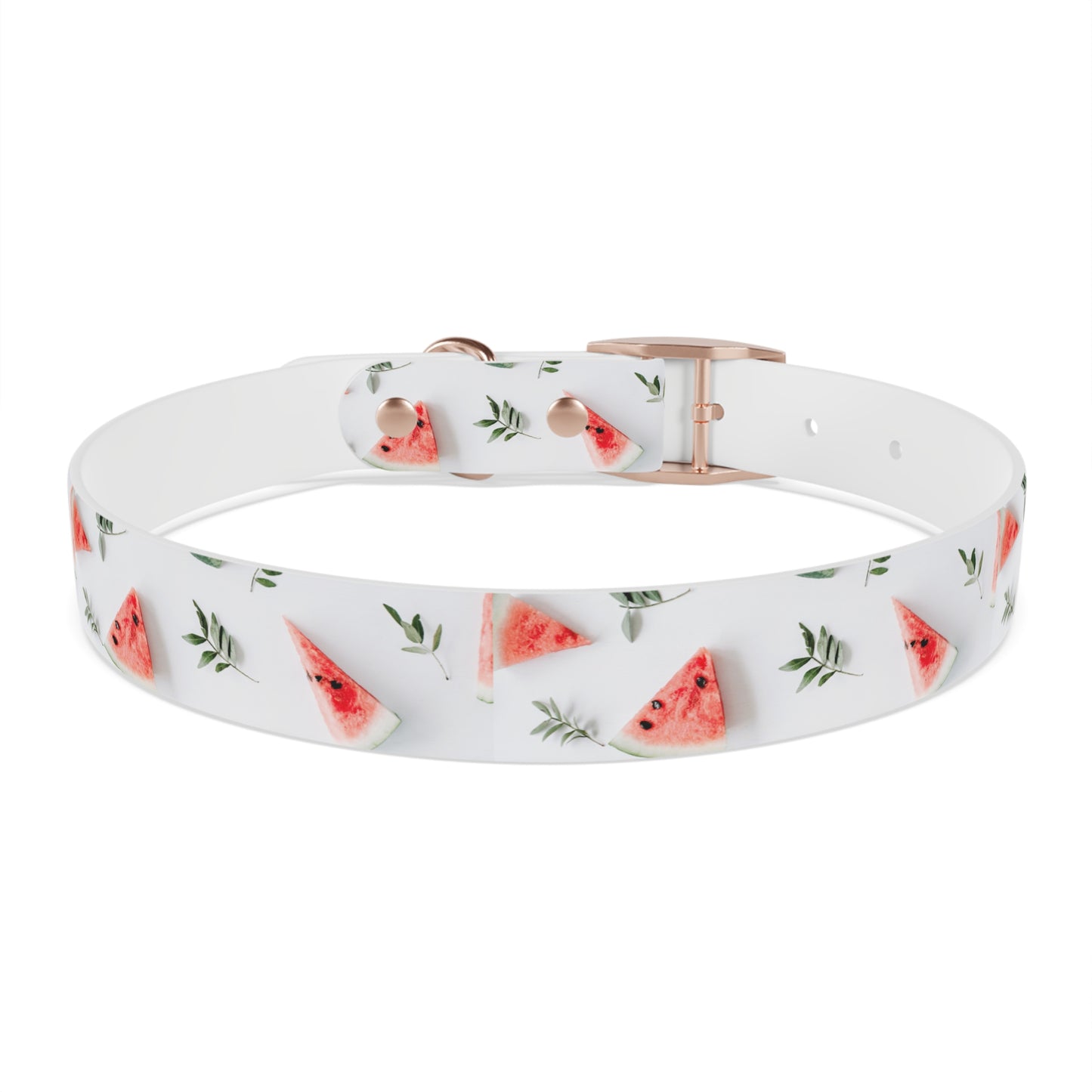 Watermelon Dog Collar π