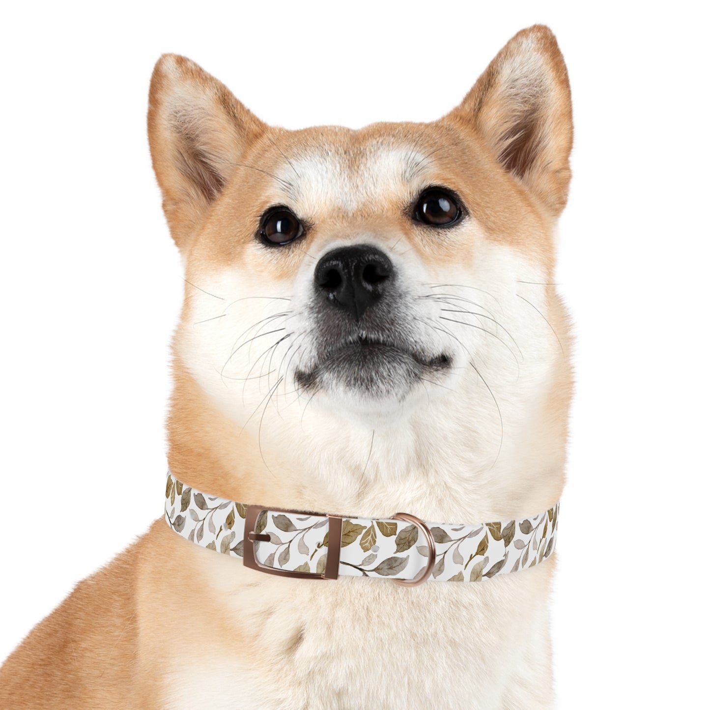 Echoes of Earth Dog Collar 🌿