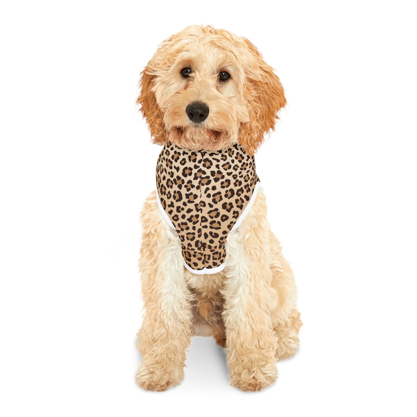 Leopard Print Pet Hoodie π