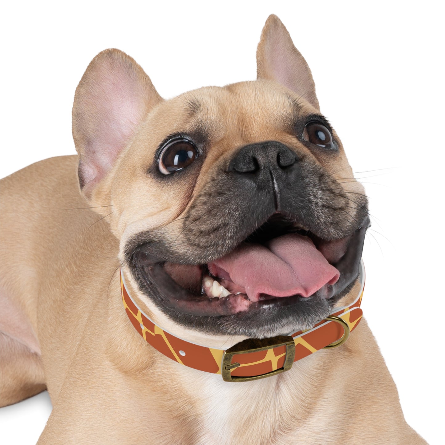 Giraffe Pattern Dog Collar π¦