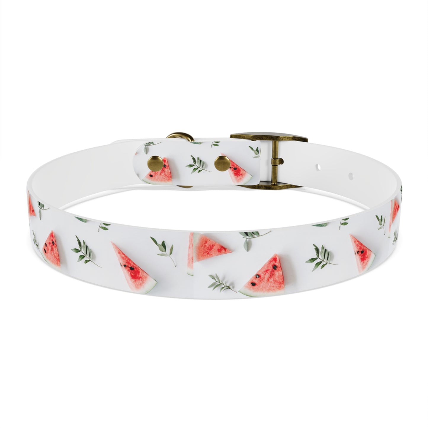 Watermelon Dog Collar π