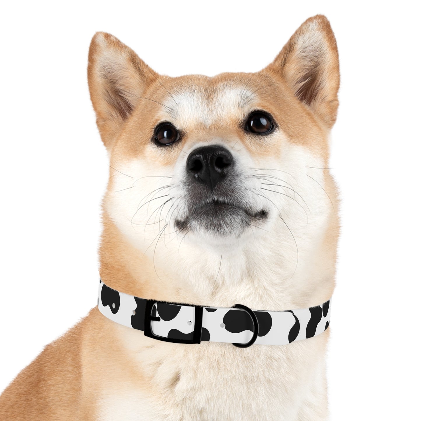 Cow Print Dog Collar ๐