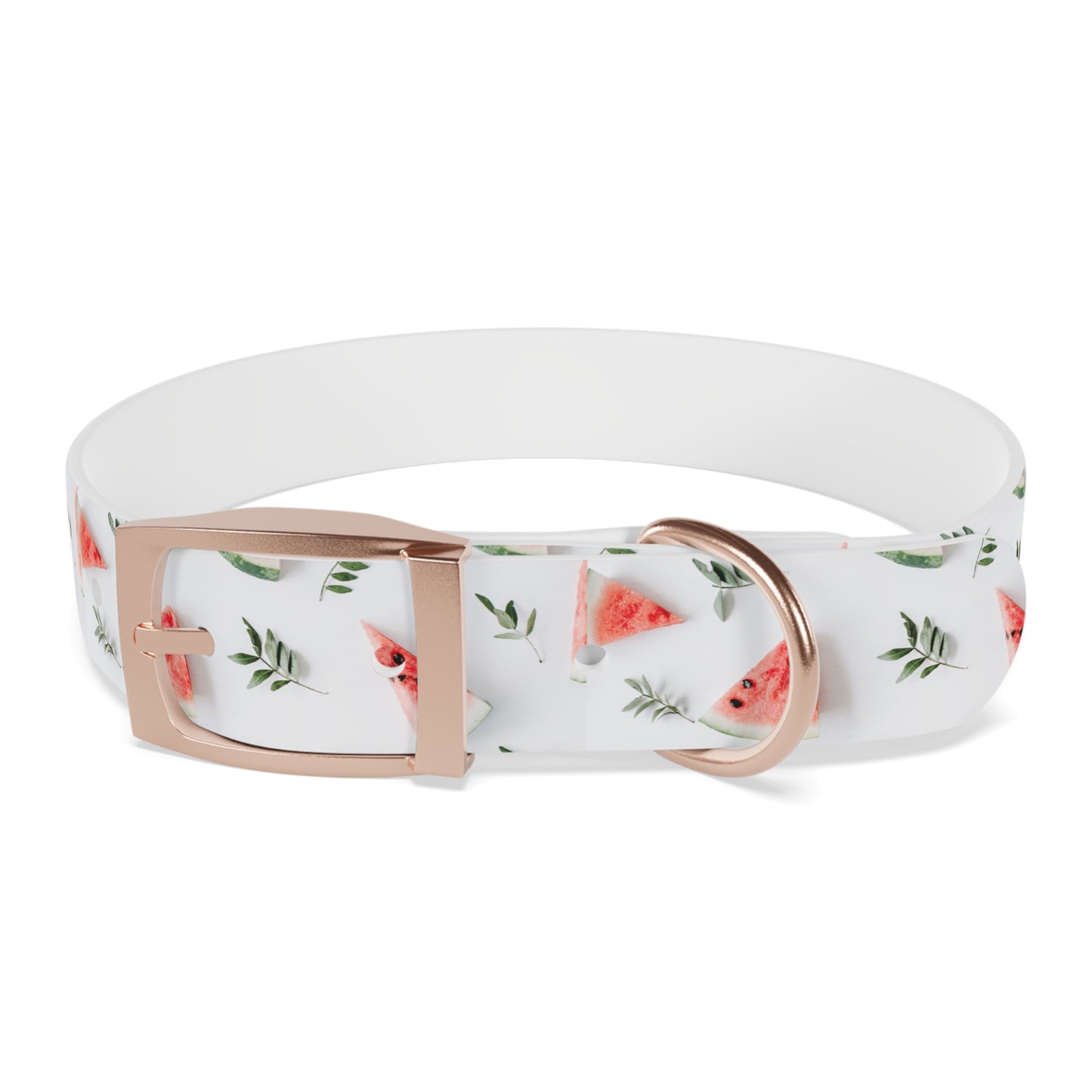 Watermelon Dog Collar π