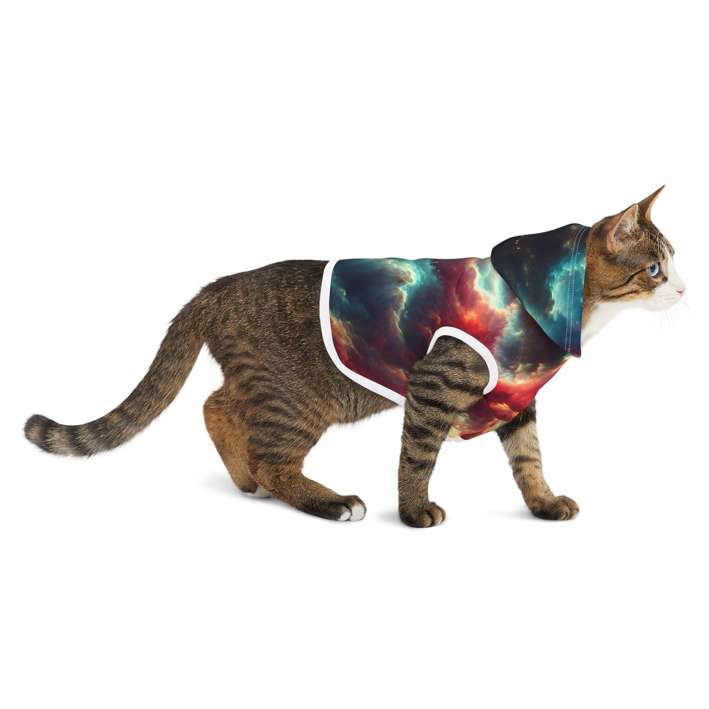 Spacey Pet Hoodie π