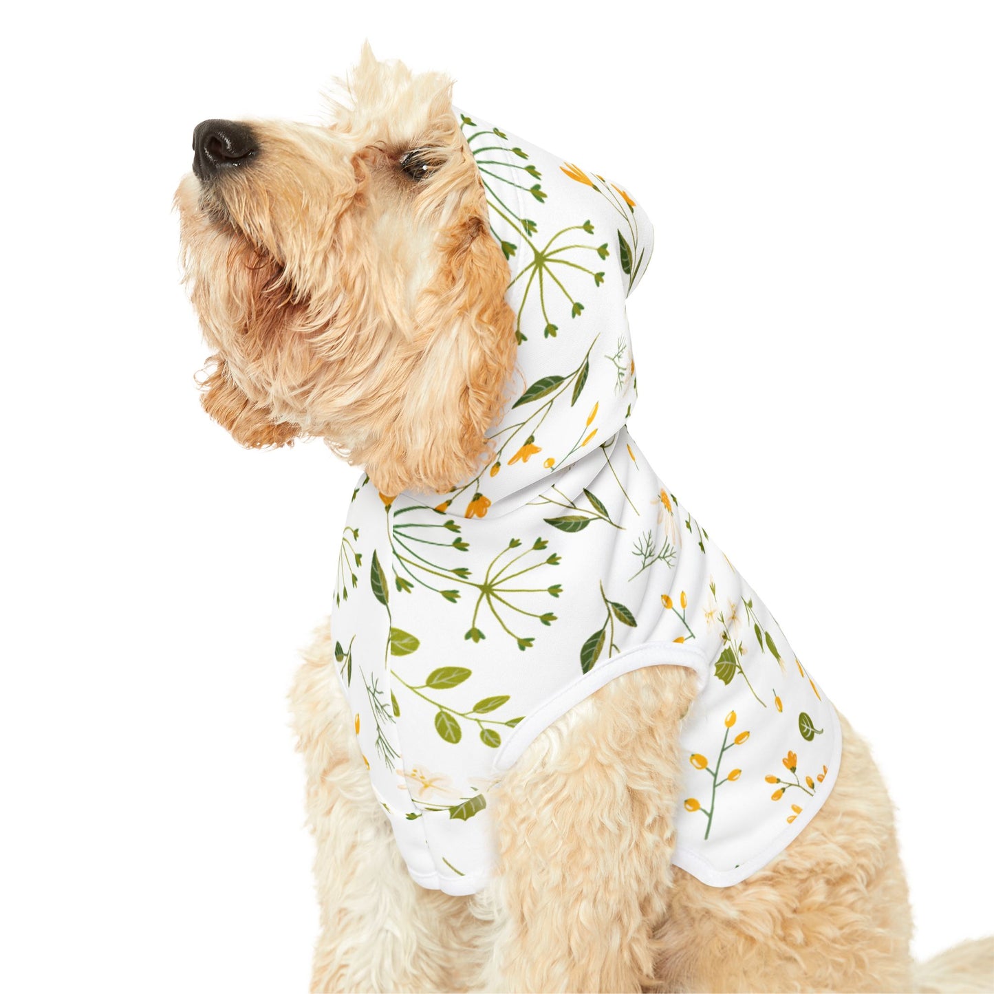 Spring Vibes Pet Hoodie ๐ฟ