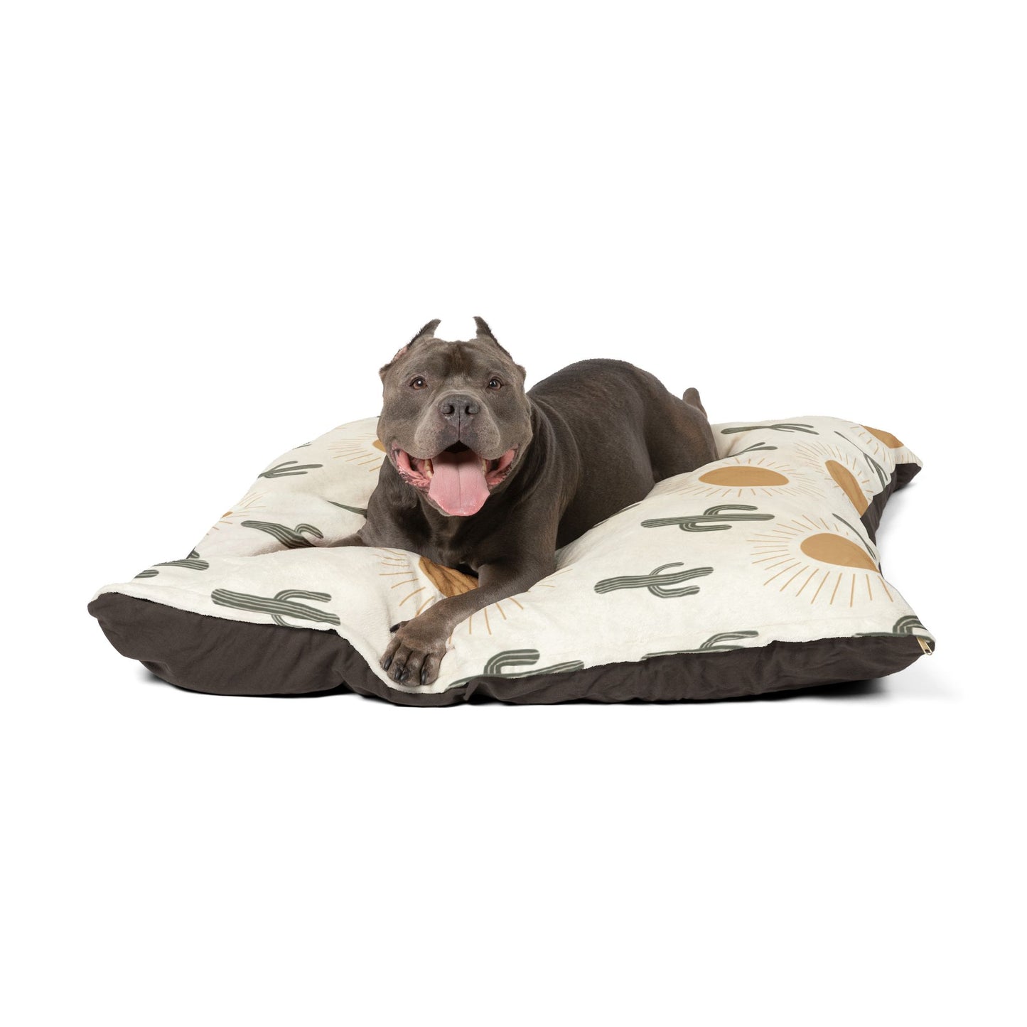 Desert Sunshine Pet Bed 🌵