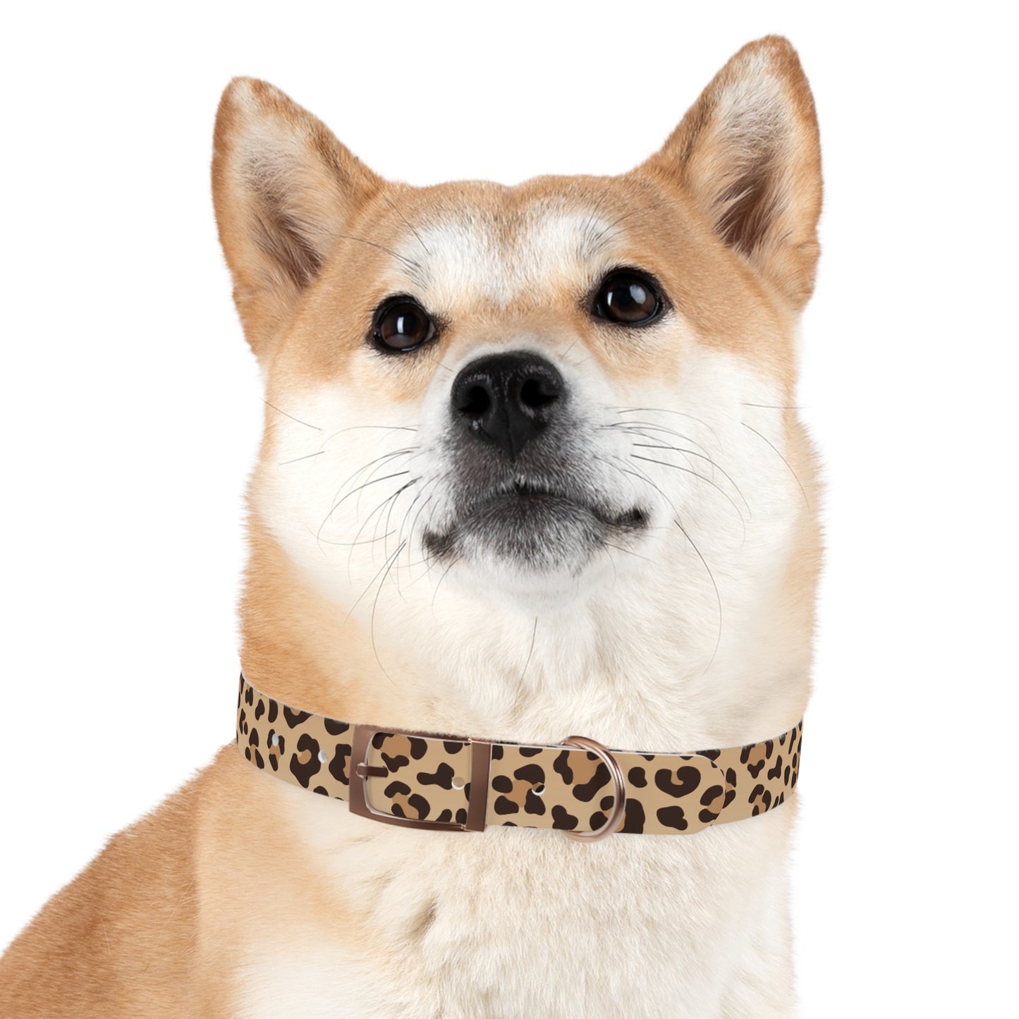 Leopard Print Dog Collar π