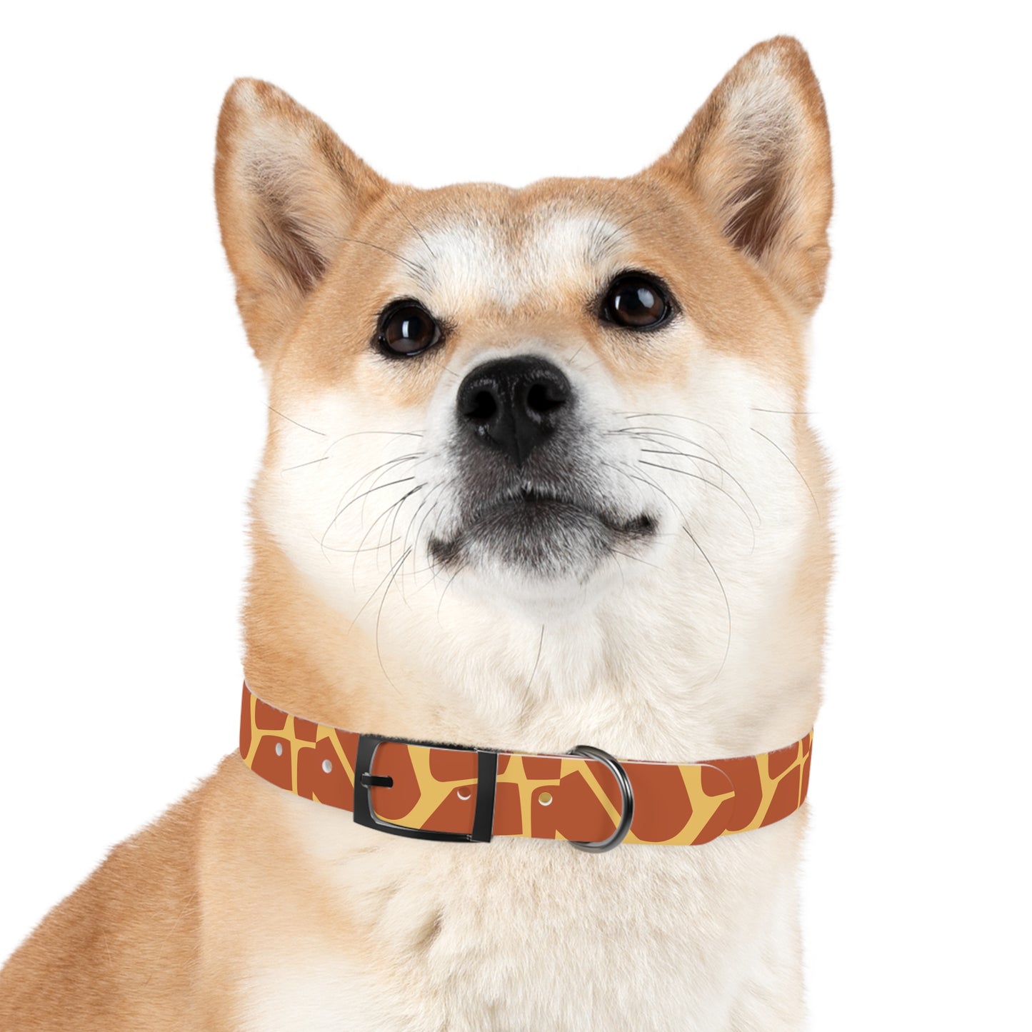 Giraffe Pattern Dog Collar π¦