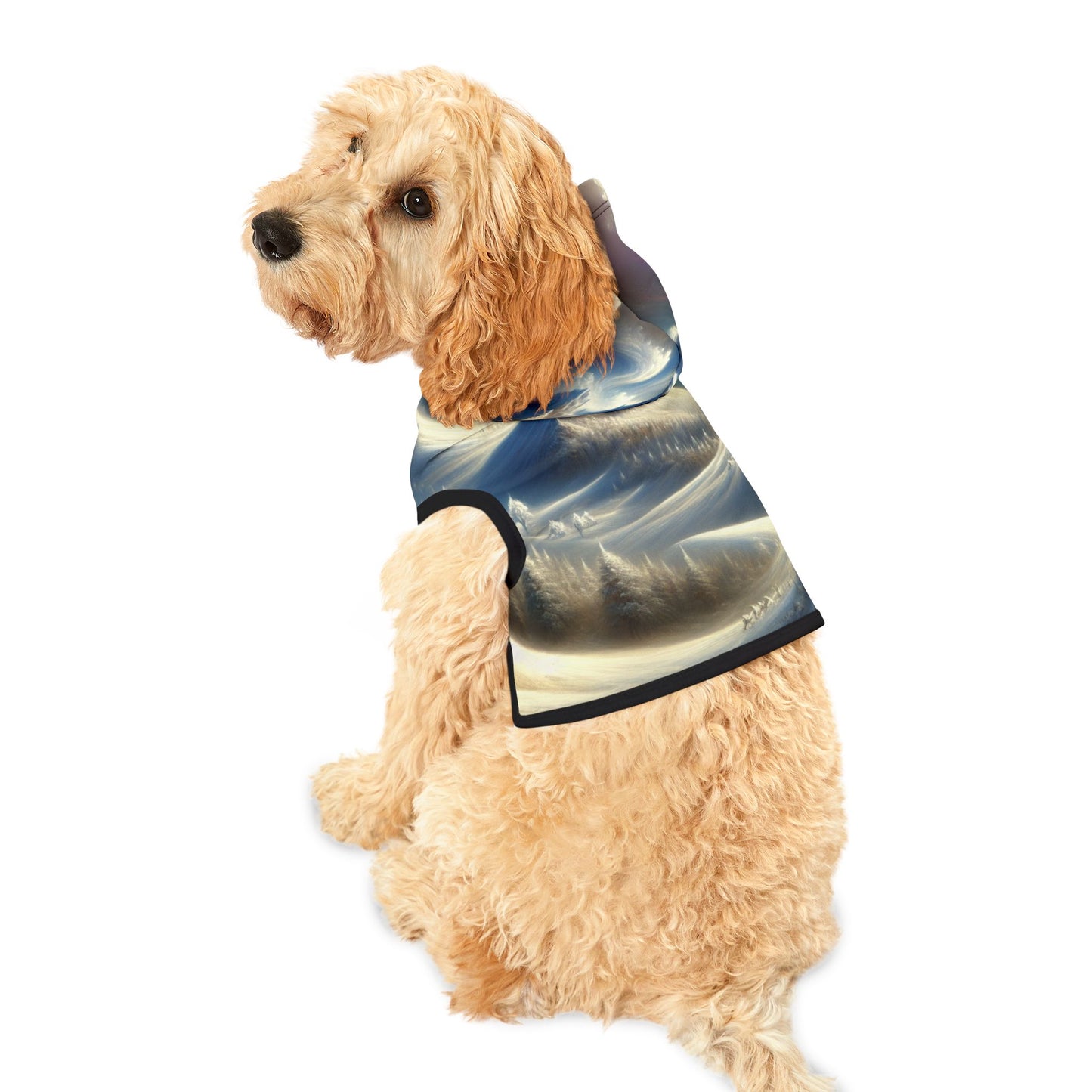 Mysterious Snowy Mountains Pet Hoodie βοΈποΈ