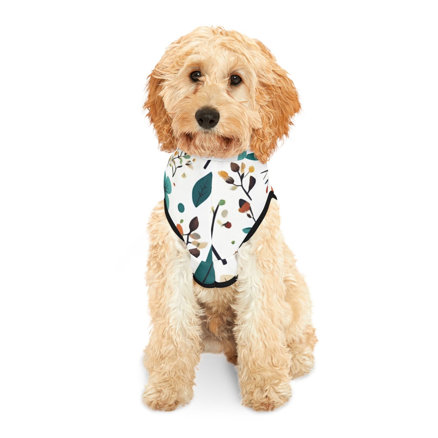 Leaf Love Pet Hoodie π