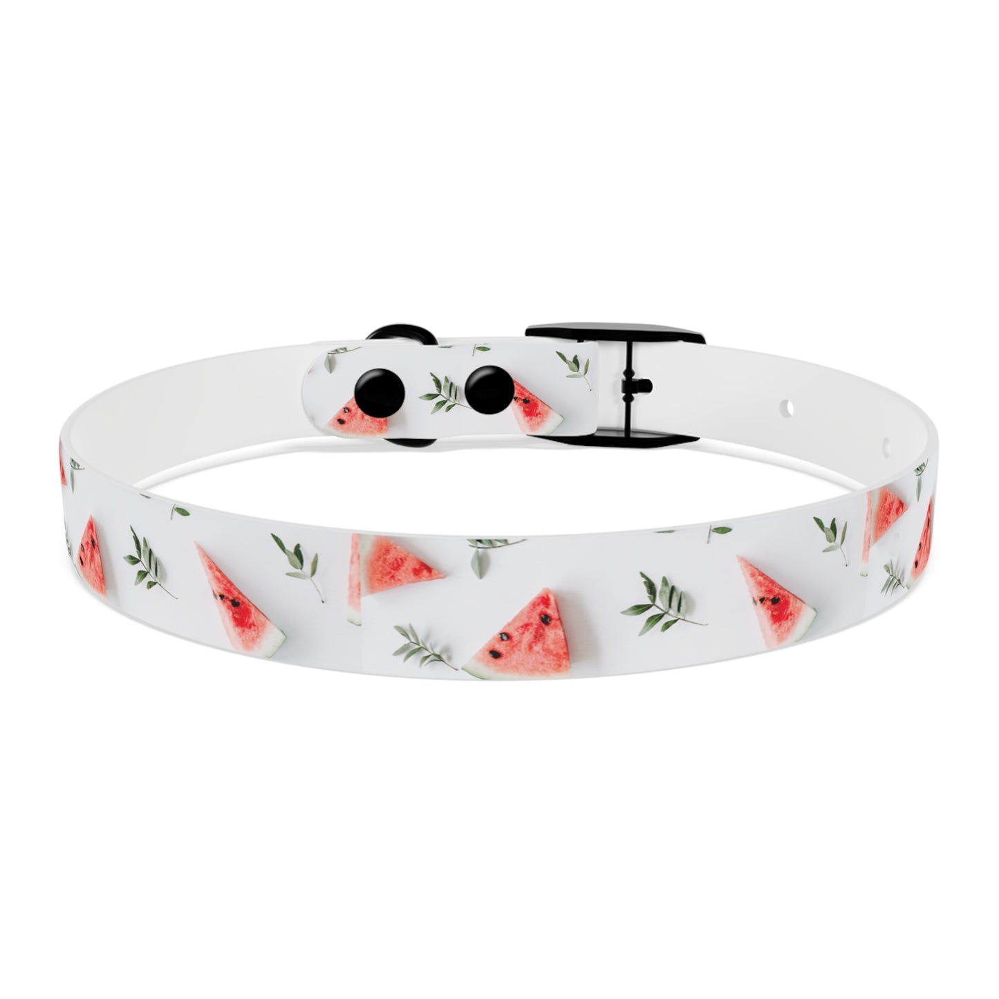Watermelon Dog Collar π