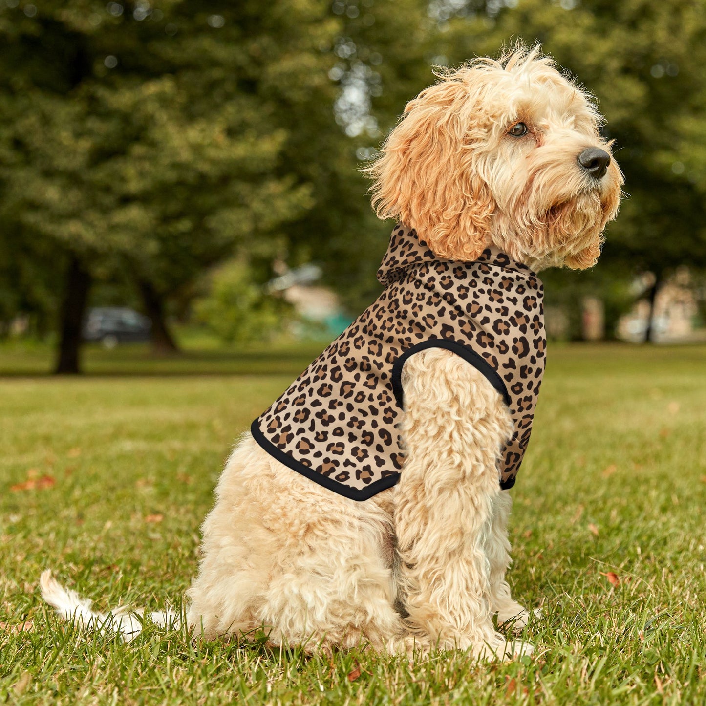 Leopard Print Pet Hoodie π