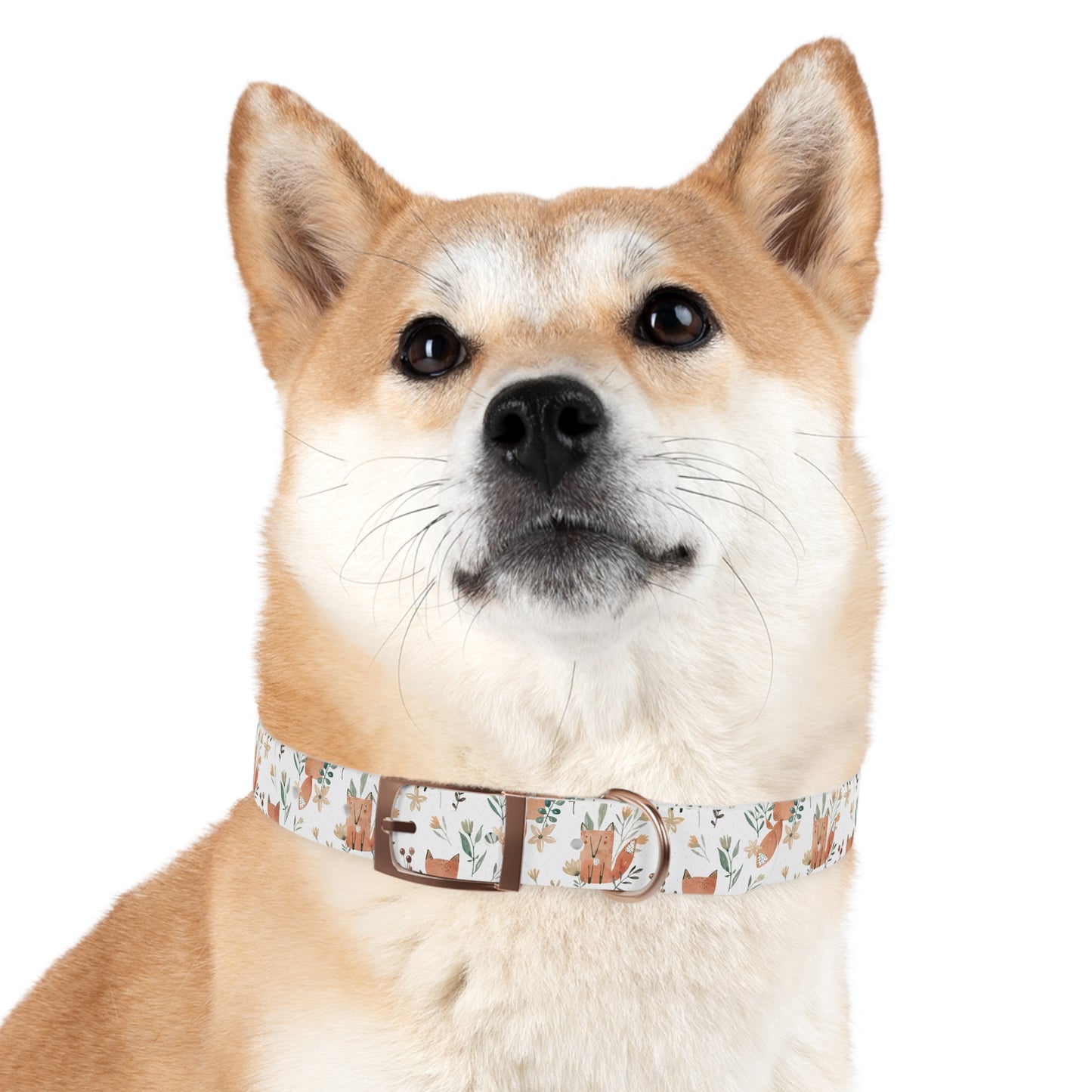 Fox Dog Collar 🦊