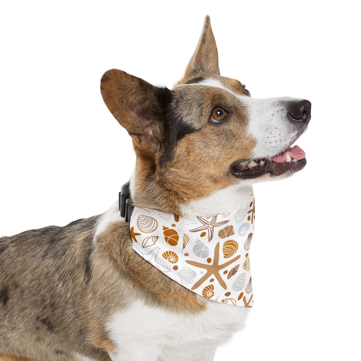 Seashore Pet Bandana Collar 🐚