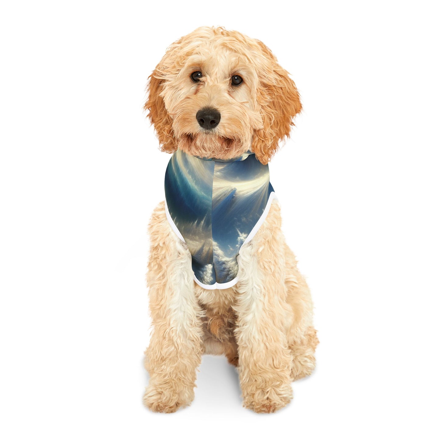 Mysterious Snowy Mountains Pet Hoodie βοΈποΈ