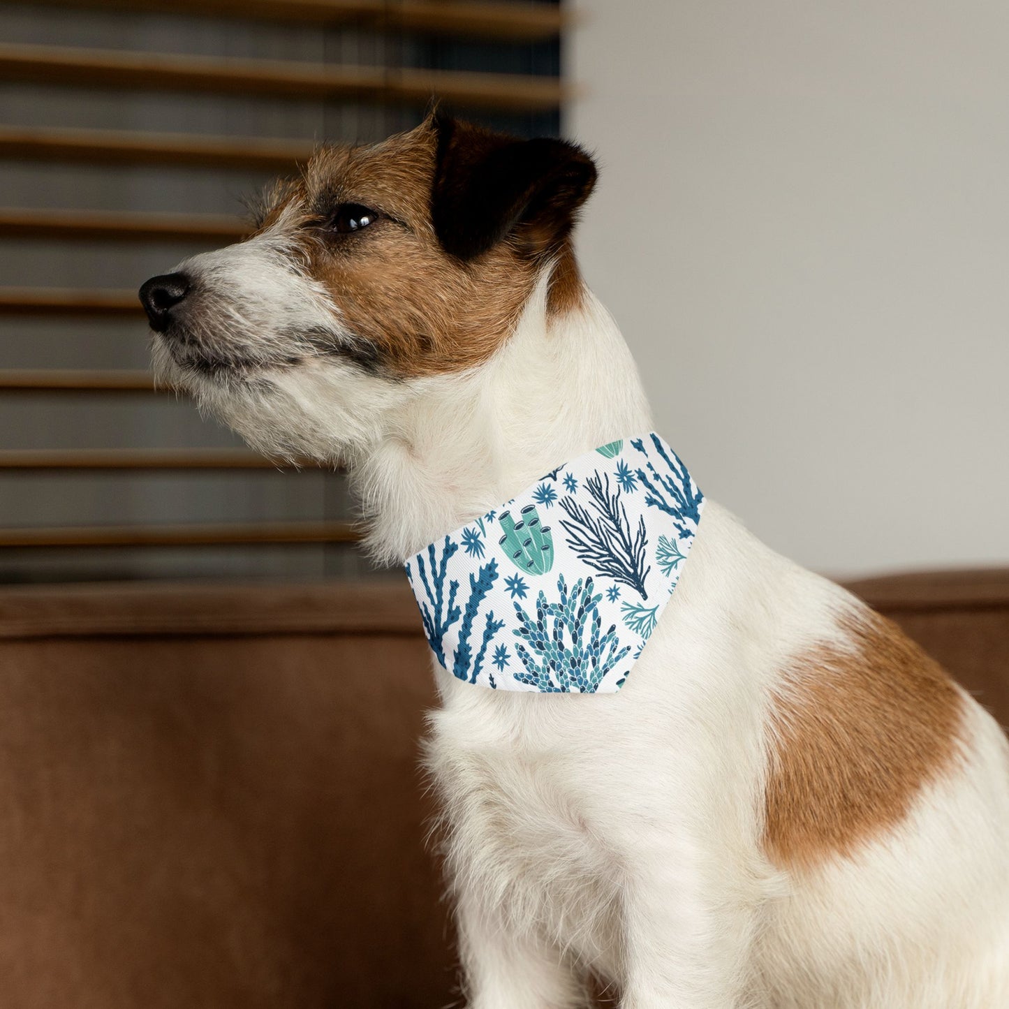 Coral Reef Pet Bandana Collar 🪸
