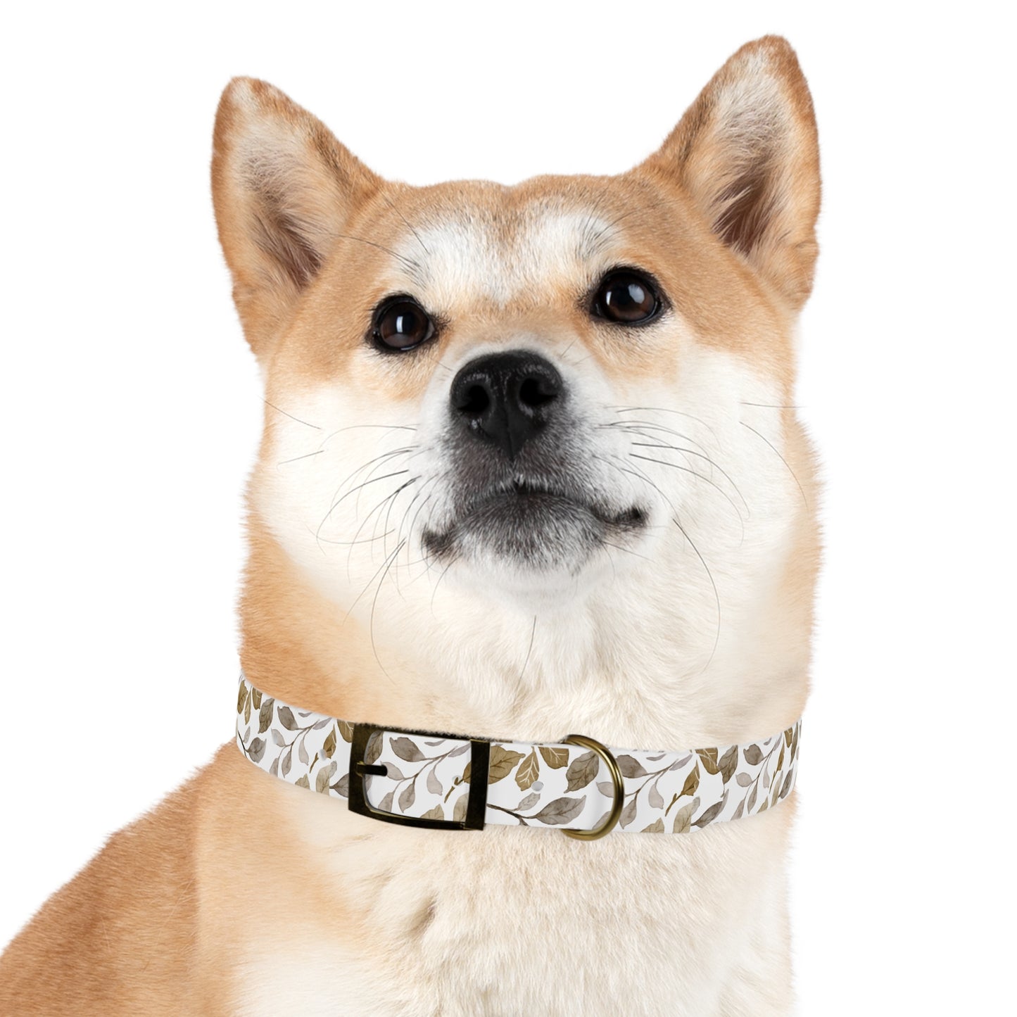 Echoes of Earth Dog Collar 🌿
