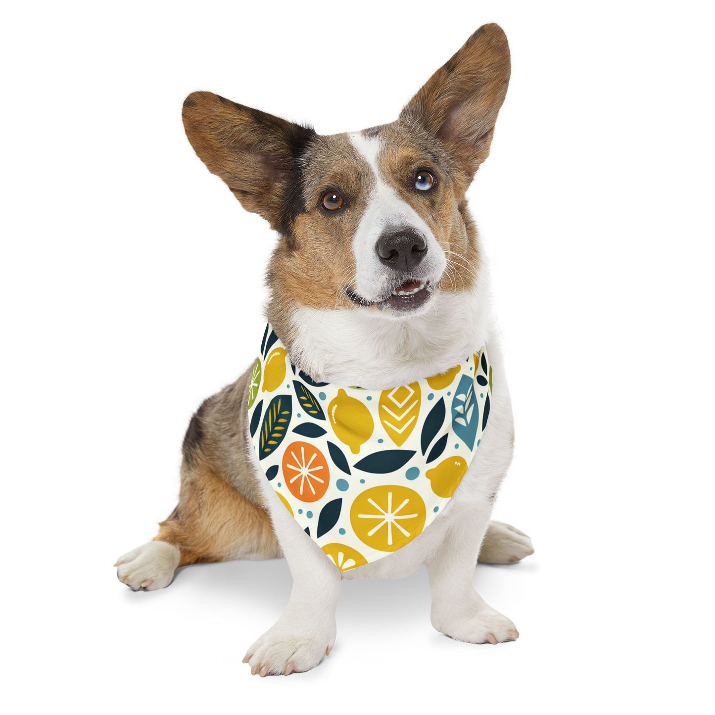 Citrus Pet Bandana Collar ๐