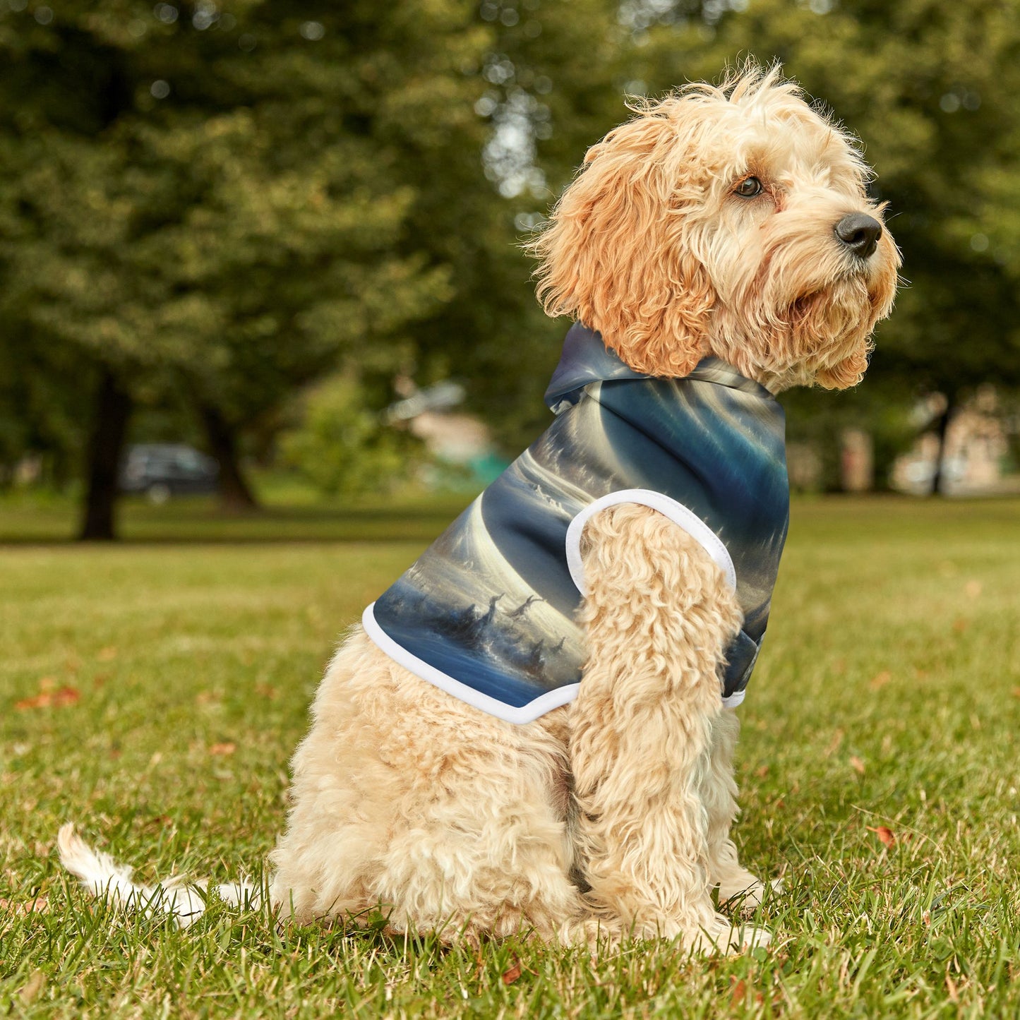 Mysterious Snowy Mountains Pet Hoodie βοΈποΈ