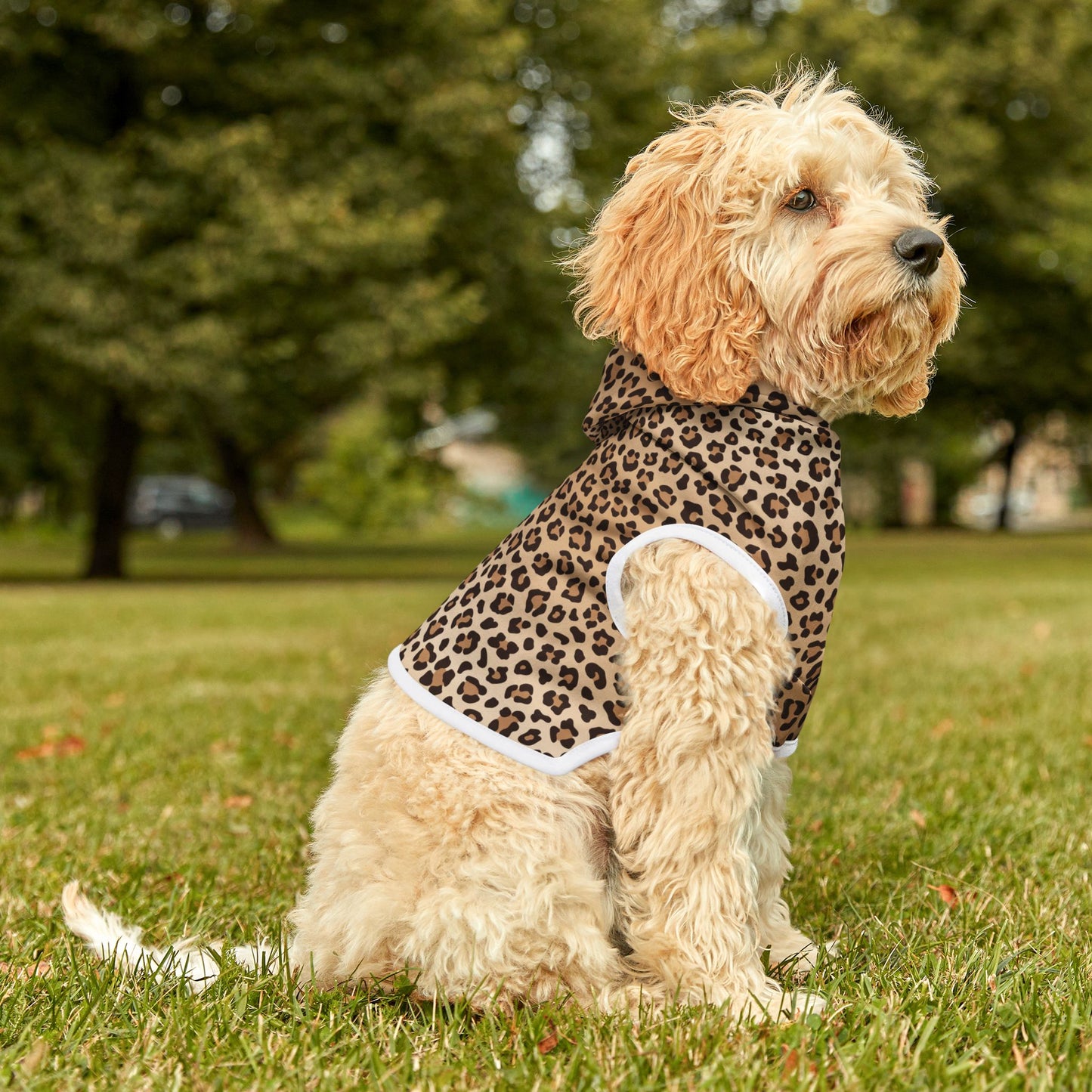 Leopard Print Pet Hoodie π