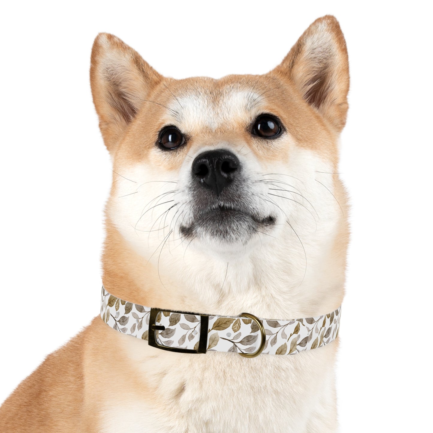 Echoes of Earth Dog Collar 🌿