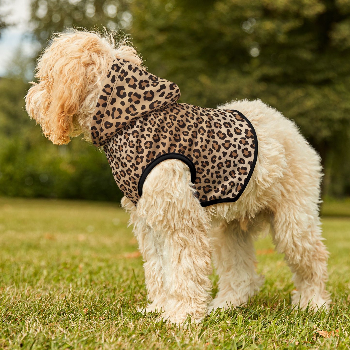 Leopard Print Pet Hoodie π