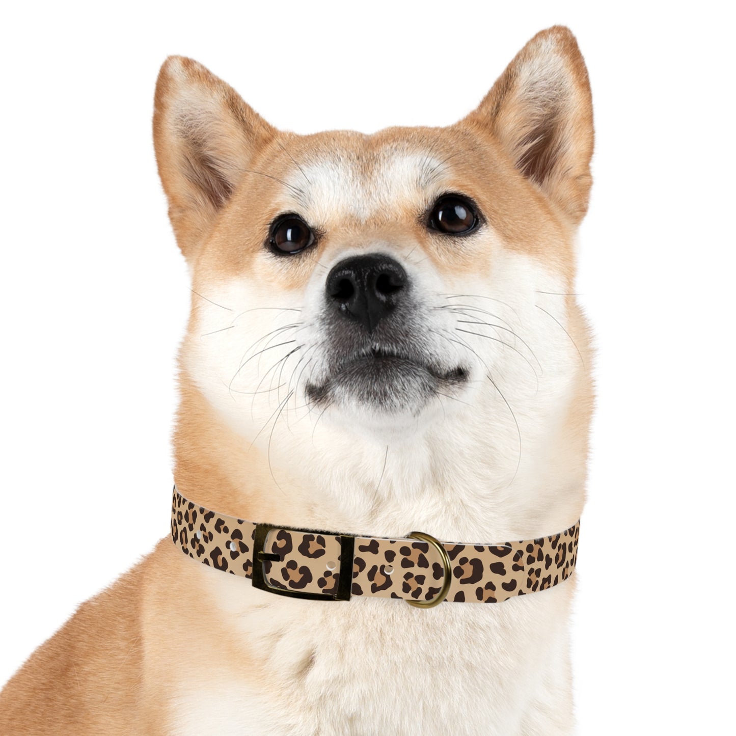 Leopard Print Dog Collar π