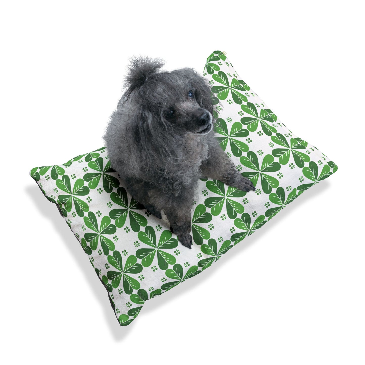 Lucky Clover Pet Bed🍀