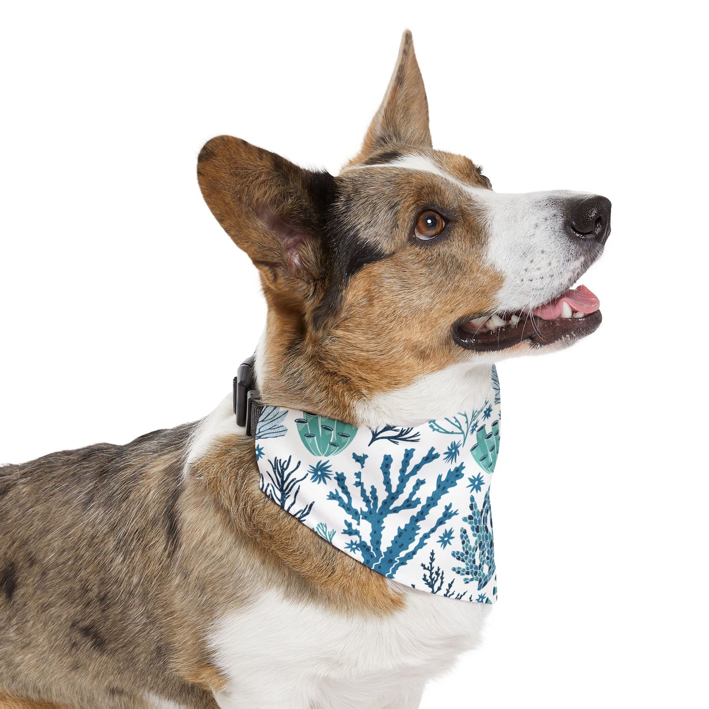 Coral Reef Pet Bandana Collar 🪸