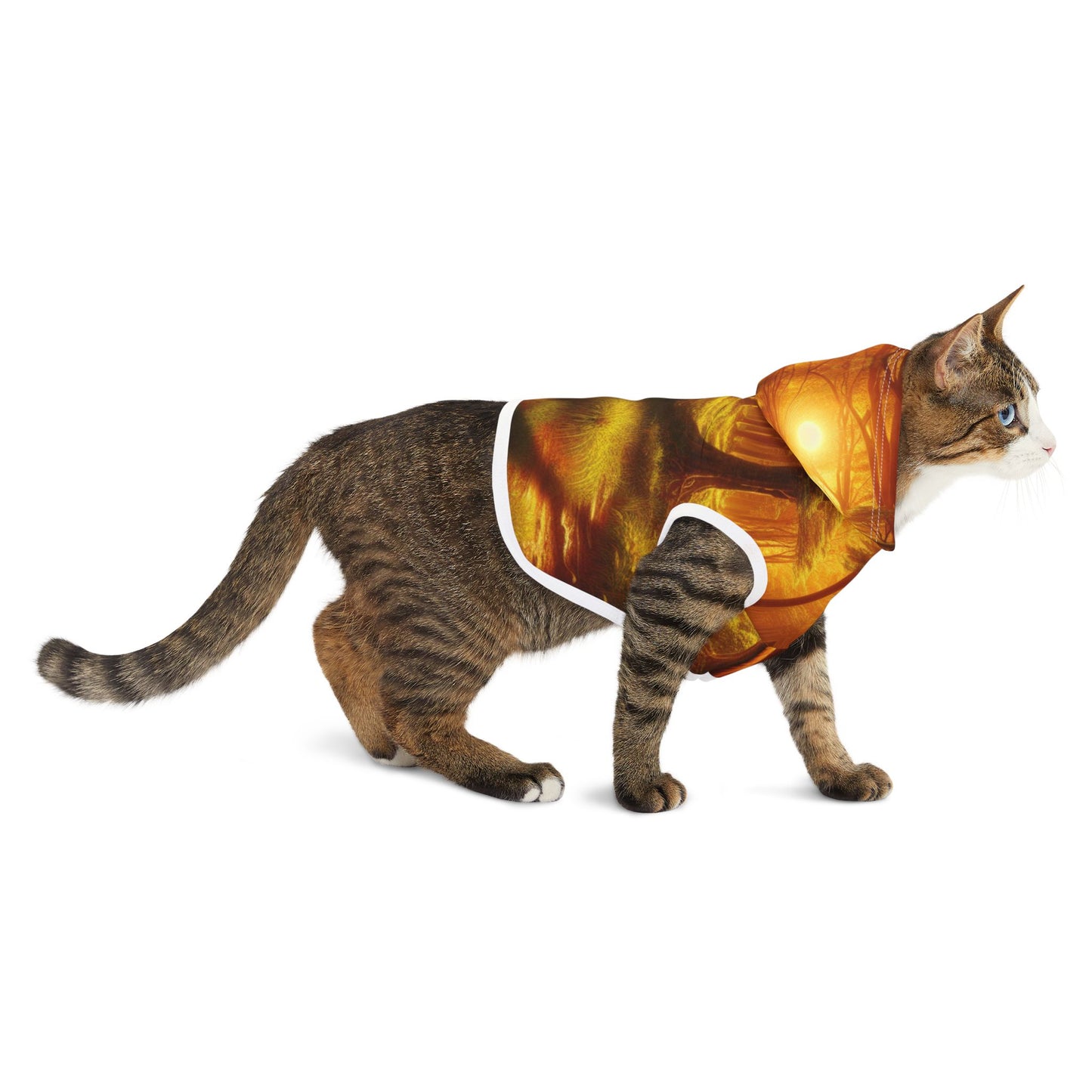Tranquil Forest Pet Hoodie π²