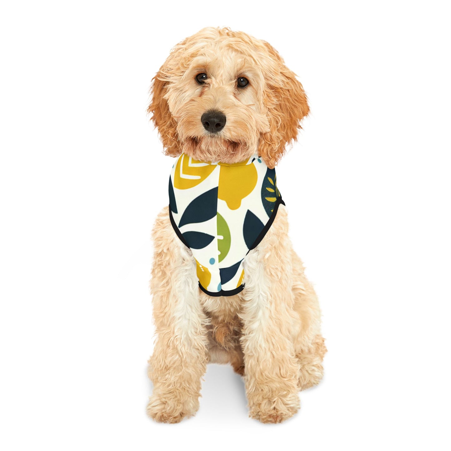 Citrus Pet Hoodie π