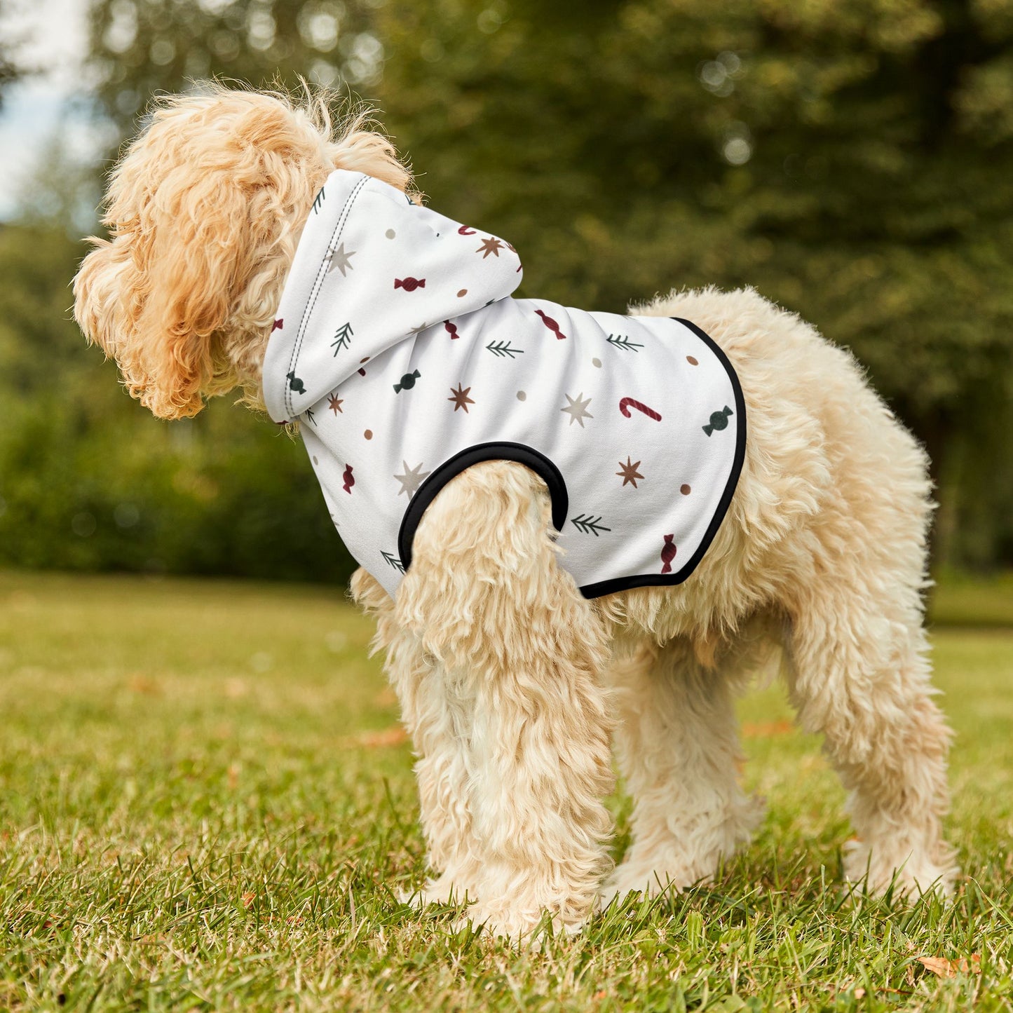 Minimal Christmas Magic Pet Hoodie🍬