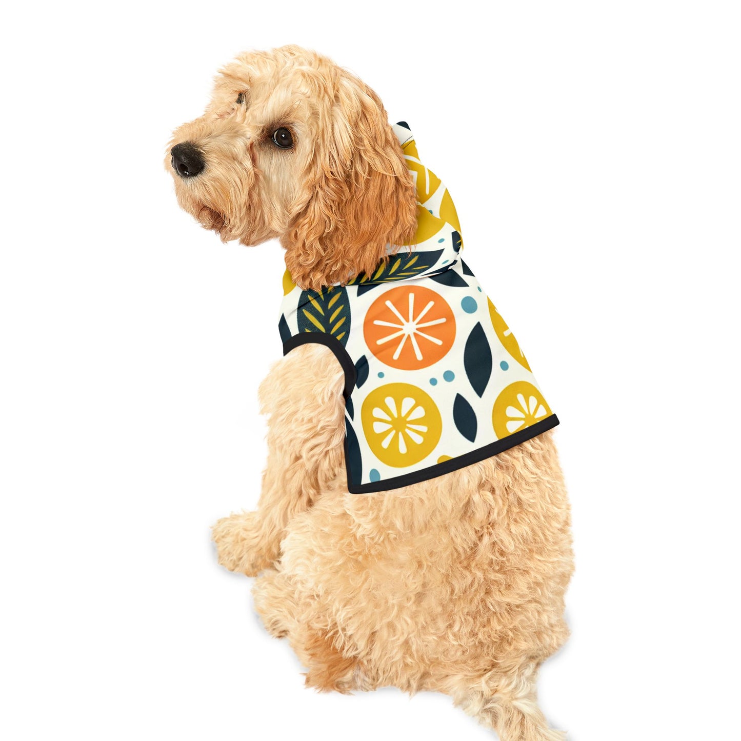 Citrus Pet Hoodie π