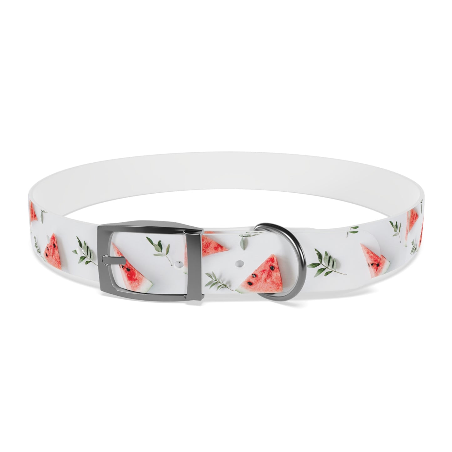 Watermelon Dog Collar π