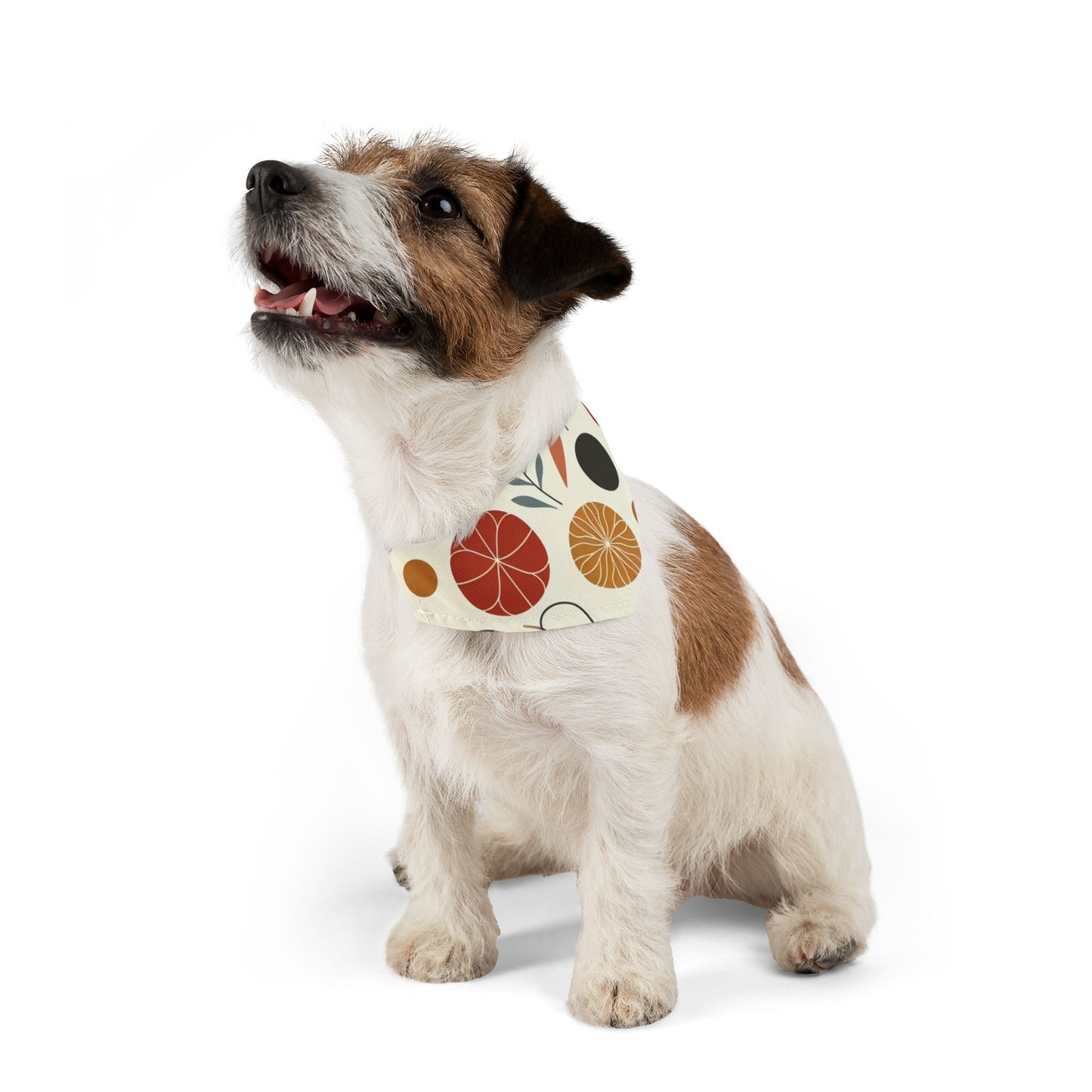 Floral Leaf Pet Bandana Collar ๐๐ธ