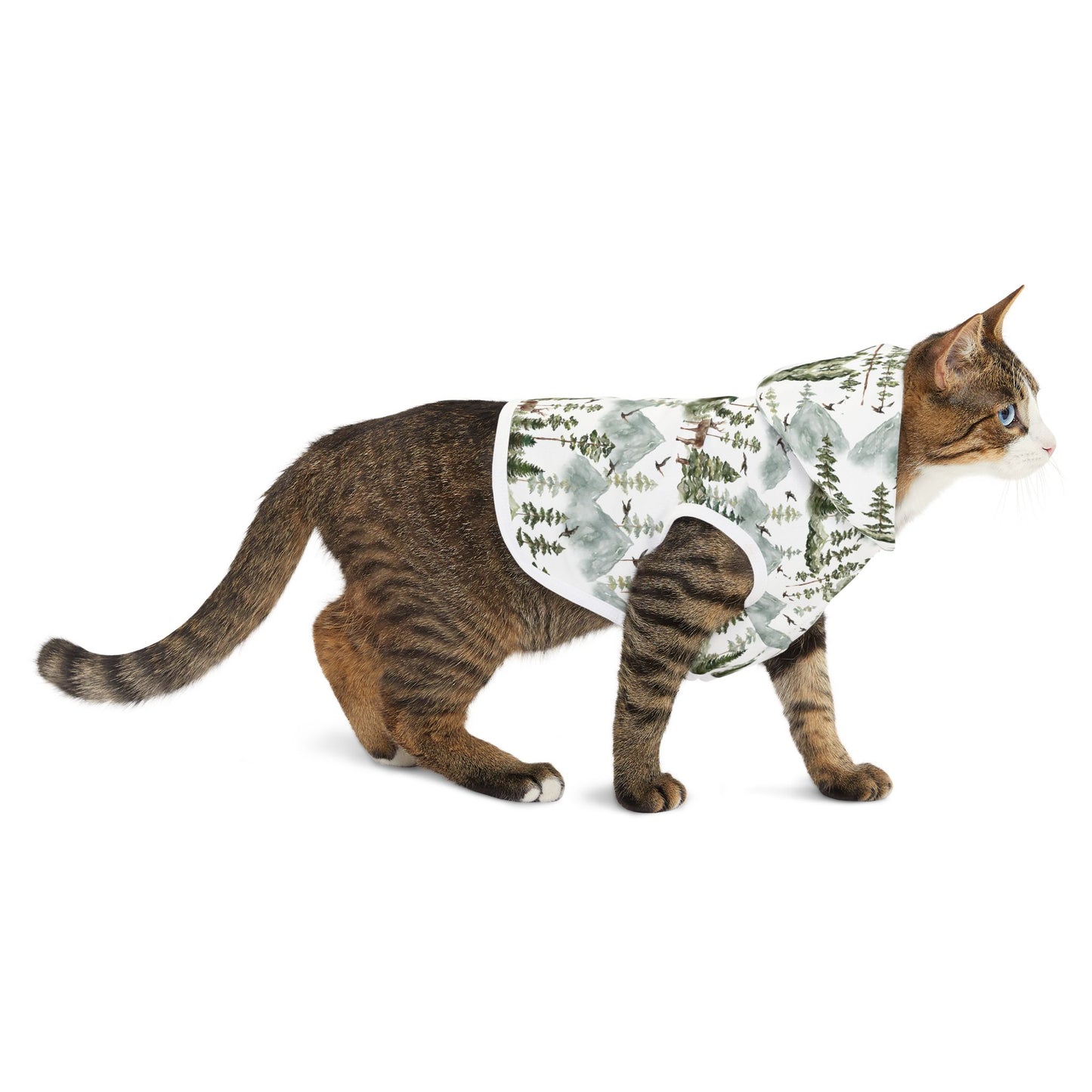 Cozy Woodland Pet Hoodie π²π¦
