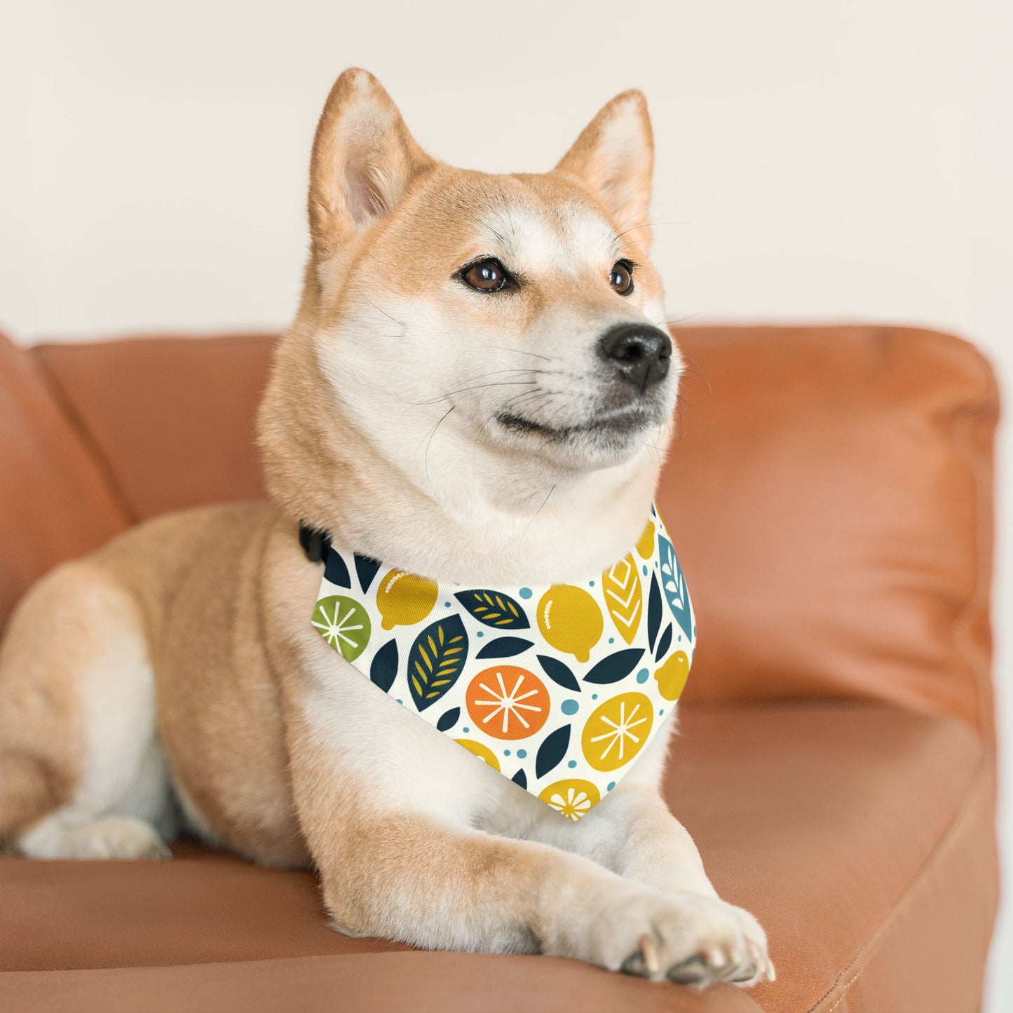 Citrus Pet Bandana Collar ๐