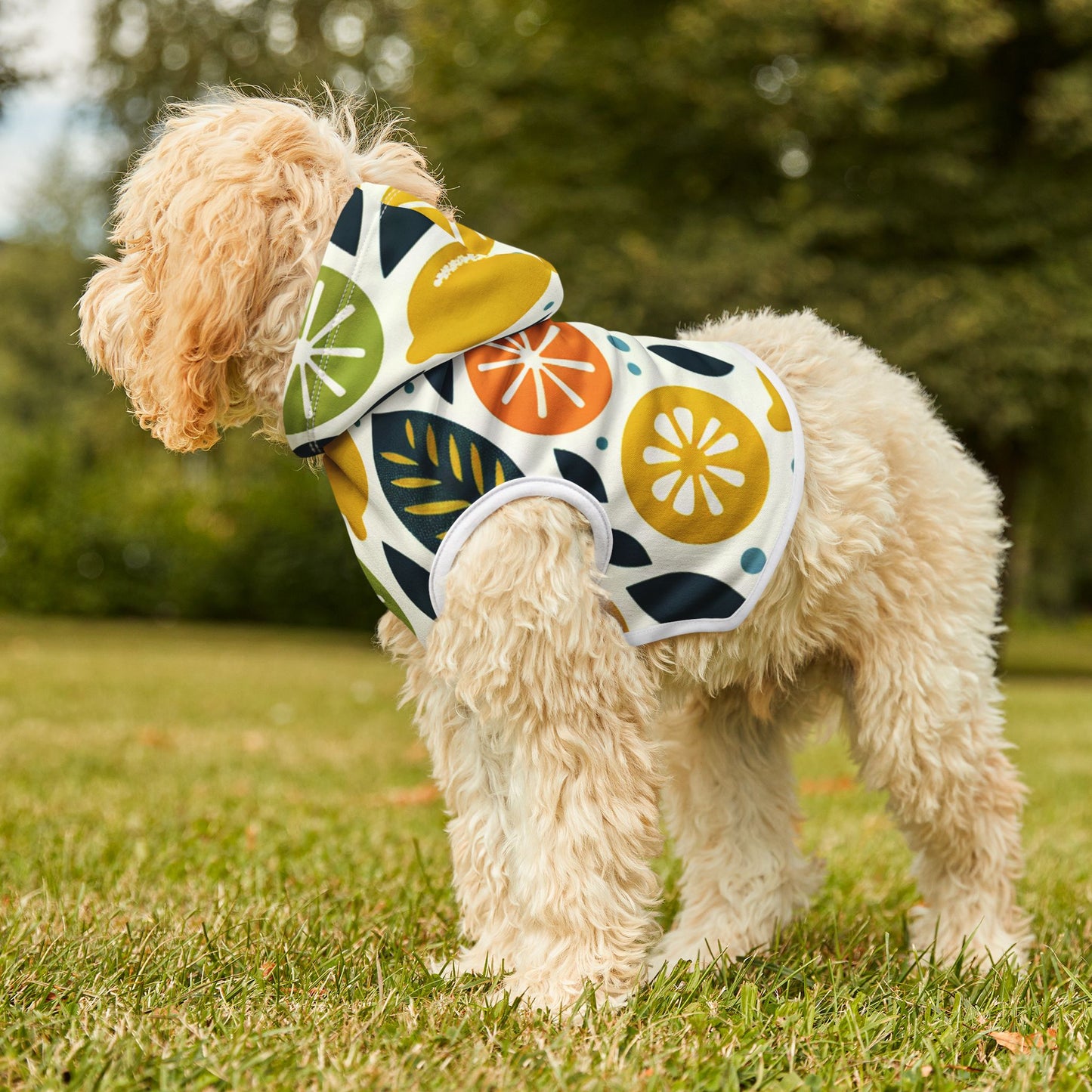 Citrus Pet Hoodie π