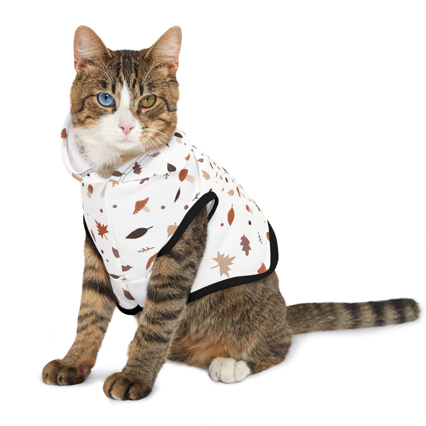 Falling for Fall Pet Hoodie π