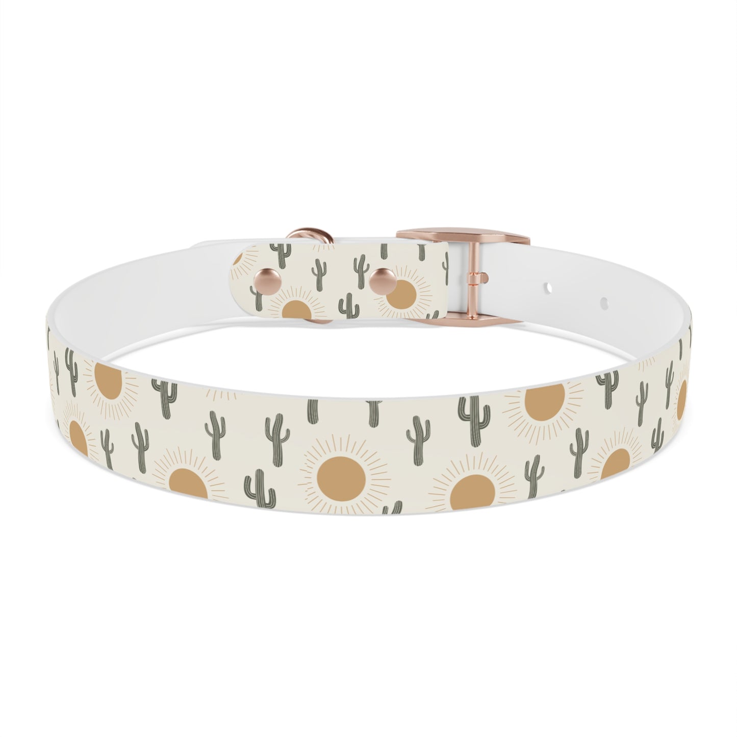 Sunshine Desert Dog Collar π΅